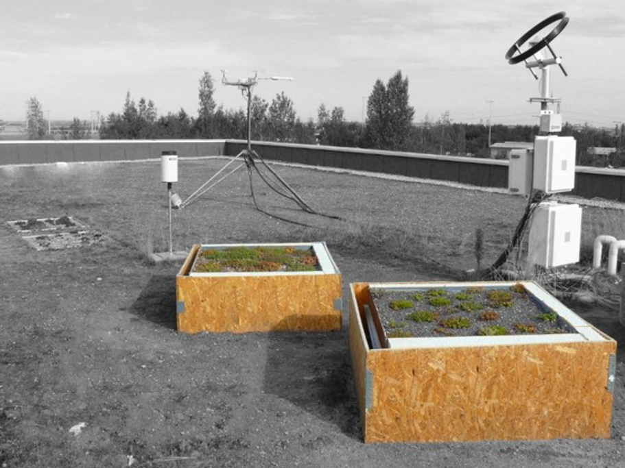 Hydrological & thermal regime of a thin green roof
